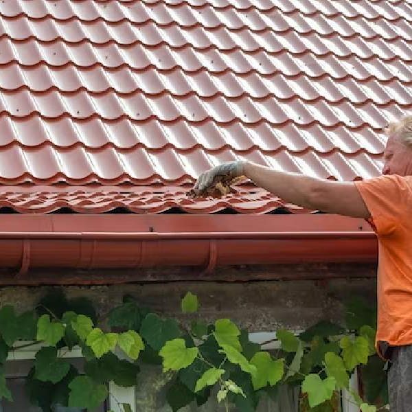 Tough Roofs for Minnesota Weather